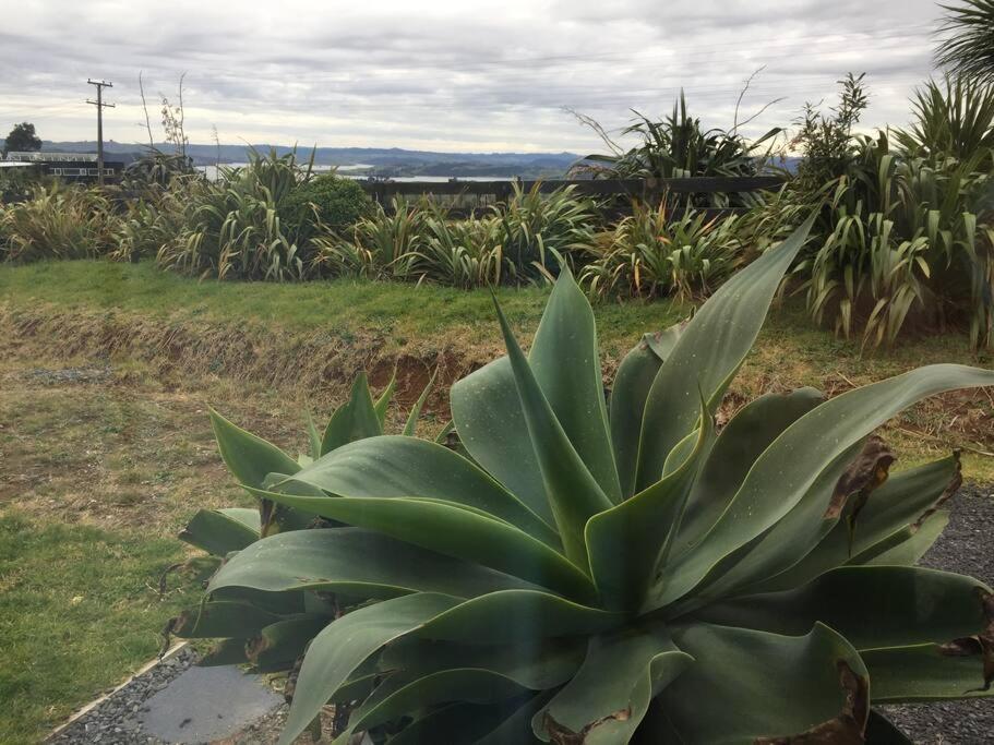 Raglan Studio At The Coastal Retreat Exterior photo